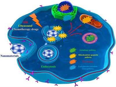 Application and prospect of ROS-related nanomaterials for orthopaedic related diseases treatment